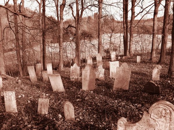 Forgotten grave yard...