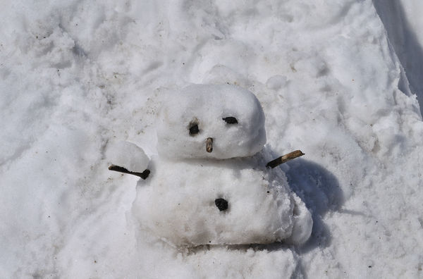 Snow Midget (not enough snow for a snowman)...