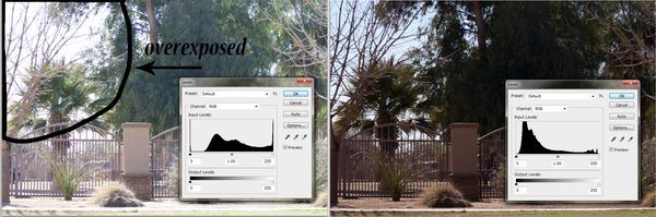 comparison of histogram changes with exposure comp...