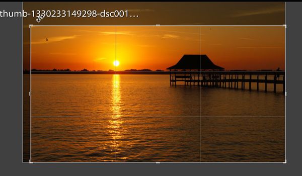 this is the crop grid in Lightroom...you can see t...