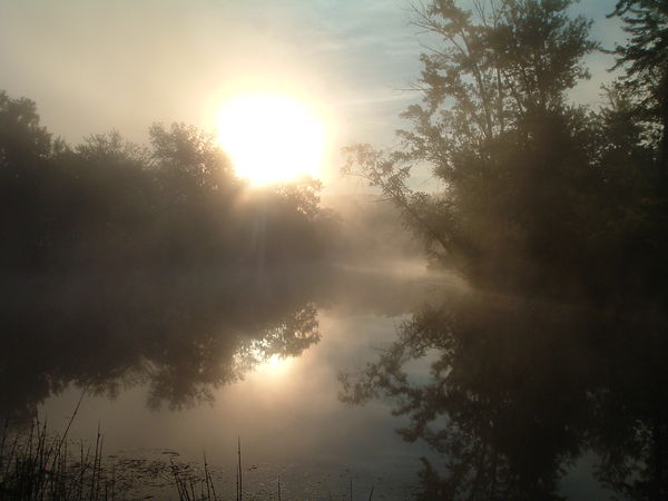 Foggy sunrise on the creek...