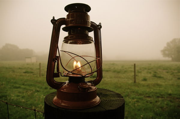 Farm lantern /horses/ fog...