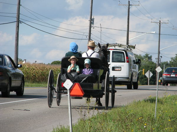 Mennonite Children in the rear seat. (no seatbelt)...