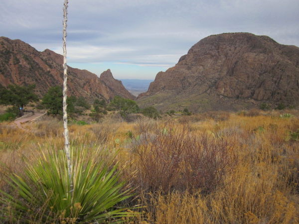 The Chisos Mtns. and Overlooking the Chisos Basin...