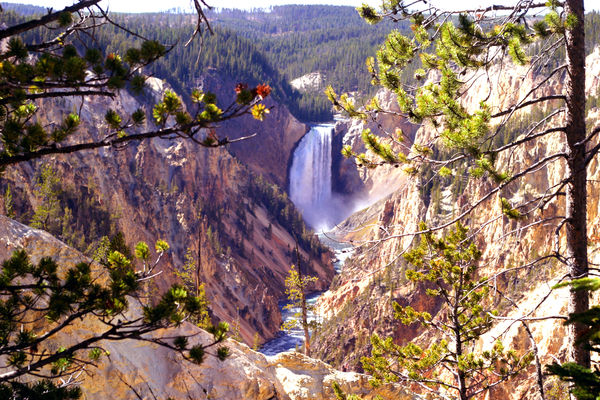 Yellowstone Falls...