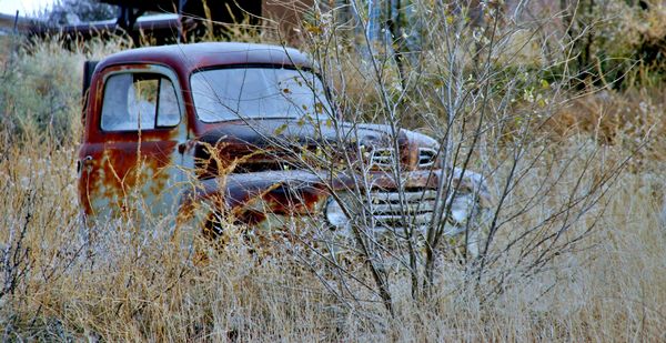 Old Rusty Truck...