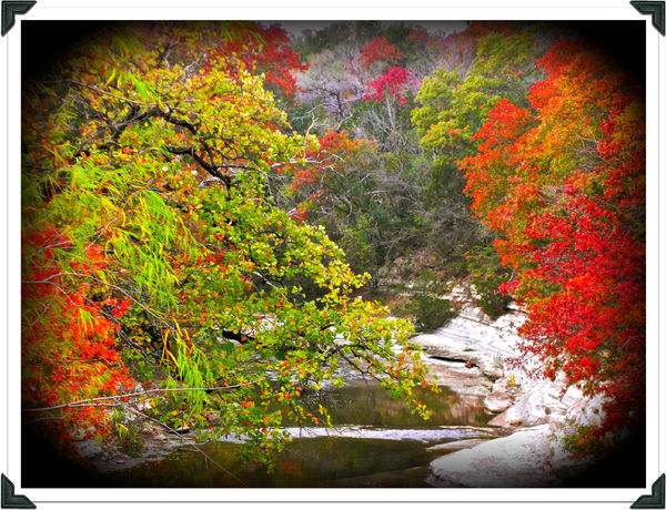 Autumn Colors - Oak Cliff, TX...