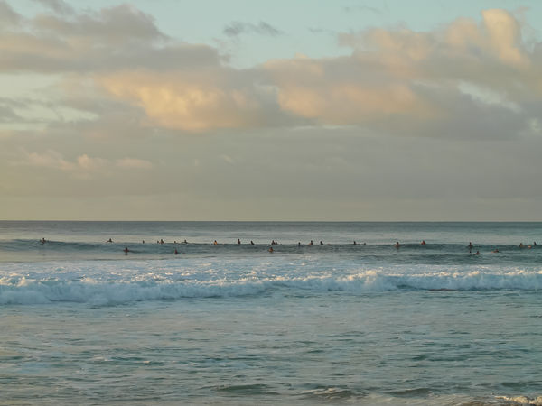 the lineup at pipe...