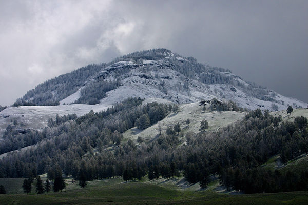 A light dusting of snow on the way to Lamar Valley...