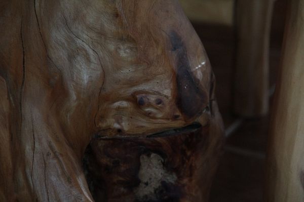 Here is one I got. Love to find faces in wood....