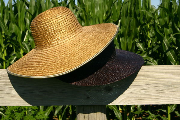 Summer Hats...