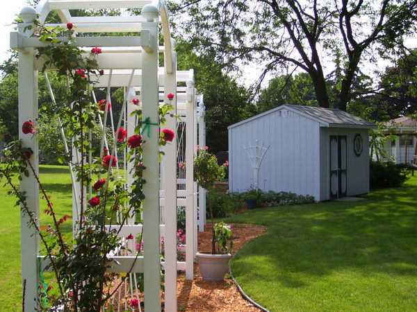 White arbors with Ramblin Red climber...