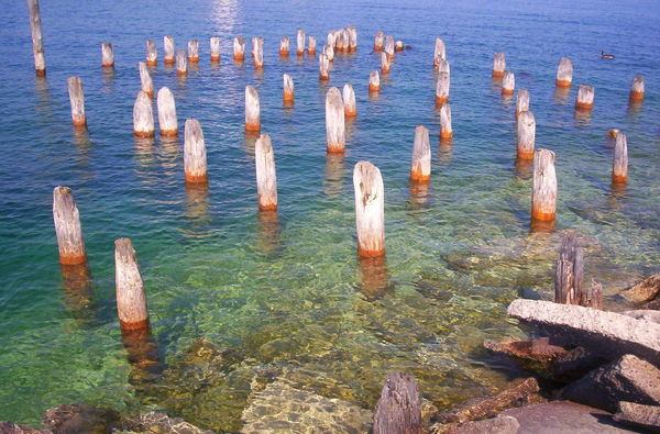 Old dock pilings a couple of days ago...