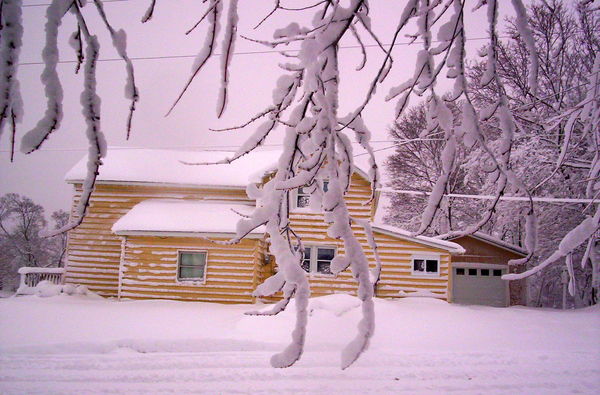 Morning after a snow fall March 3rd...