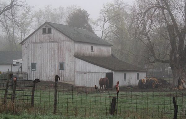 Barn in the fog in Galesburg, IL...