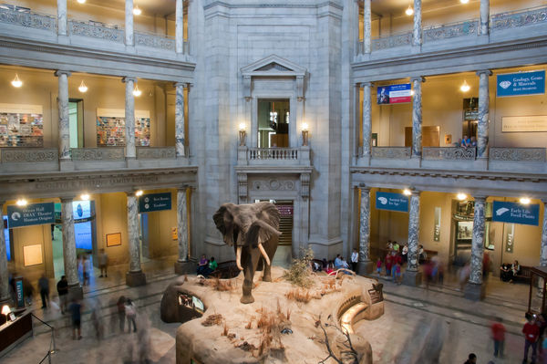 Smithsonian Institute's Museum of Natural History...