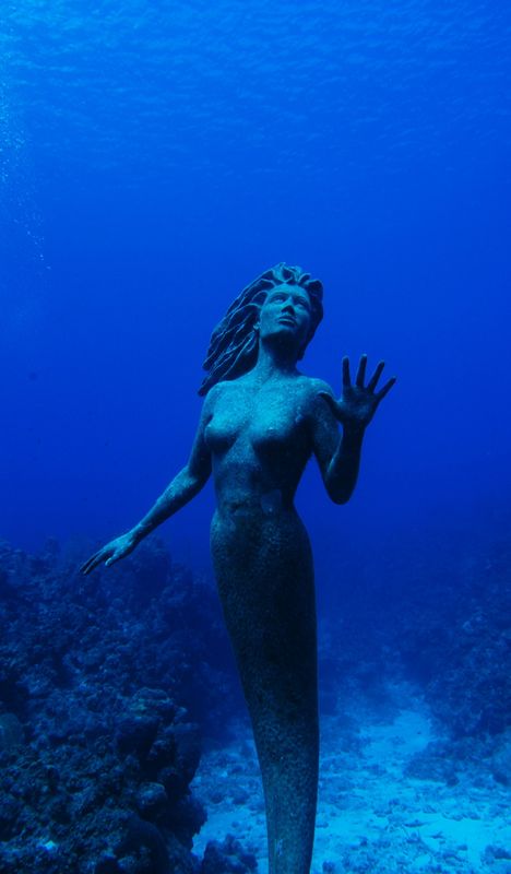 Mermaid of sunset house reef...