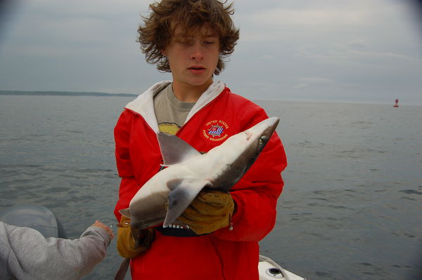 Son Cameron with a sand shark...