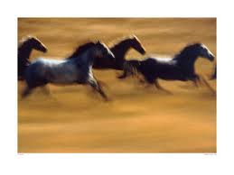 Galloping Horses...