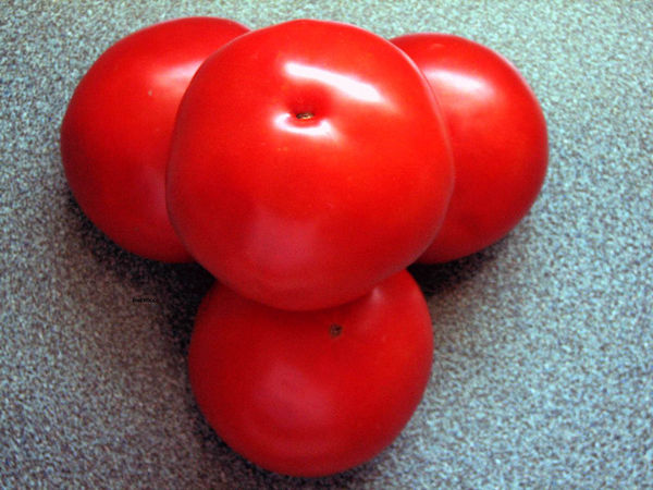 A VIRGINIA FAVORITE - THE FAMOUS HANOVER TOMATOES...