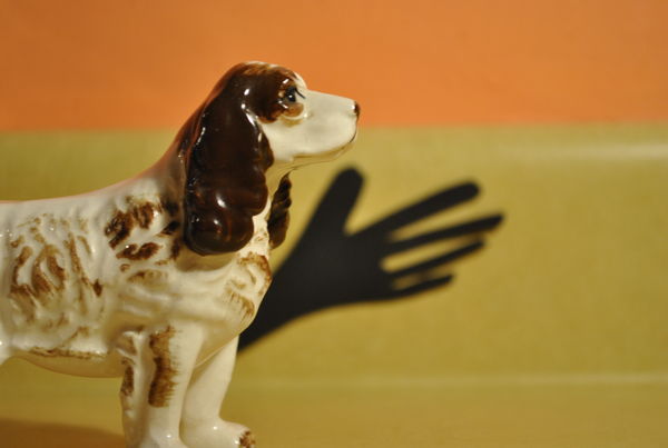 Dog making a hand shadow...