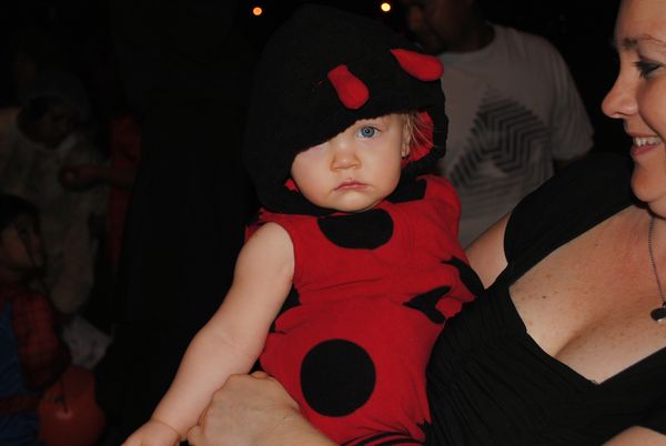 How does that go, Lady bug, lady bug fly away home...