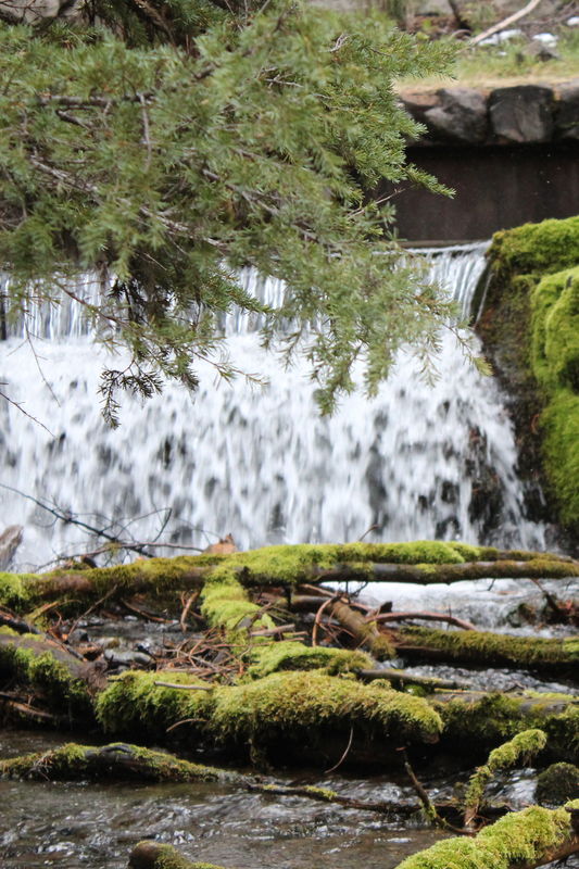 Annie Creek Falls...