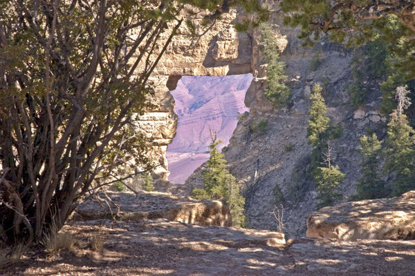 Grand Canyon Angels Window...