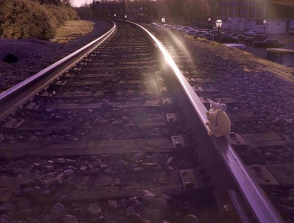 Hobo on tracks in false color IR...