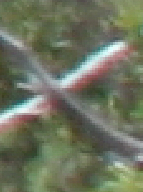 (2) magnified - From the branches, up right cross...