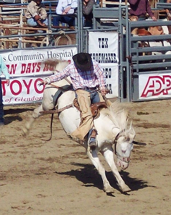 Took this telephoto shot at the local rodeo...