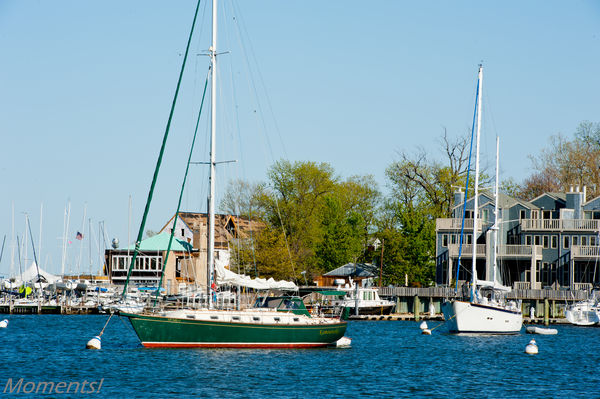 Annapolis Harbour...