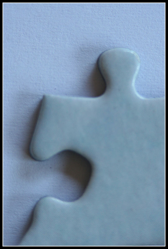 puzzle piece (from a 2500 pc puzzle)...