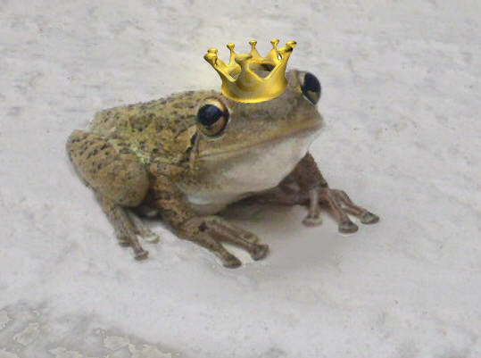 The only Frog I've ever seen with a crown...