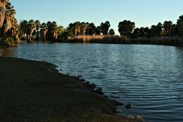 Agua Caliente Park...