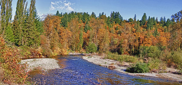 Fall on the Cedar River...