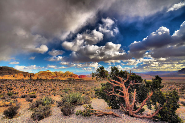 Mojave Desert, Nevada; Tamron 10-24mm (Nikon D5000...