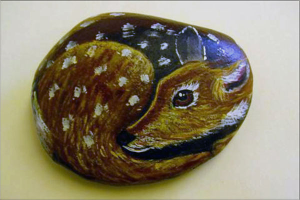 FAWN PAINTED ON A RIVER ROCK...