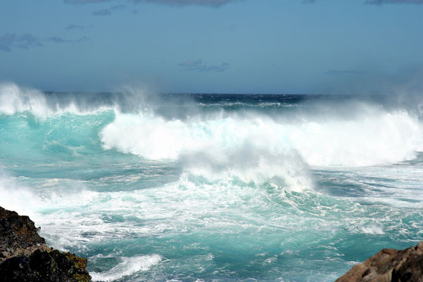 high surf and wind advisories...