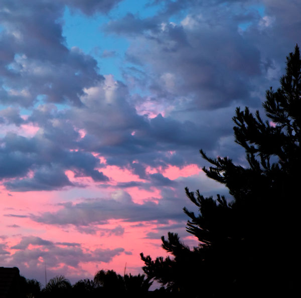 Sunset from Backyard (2009...