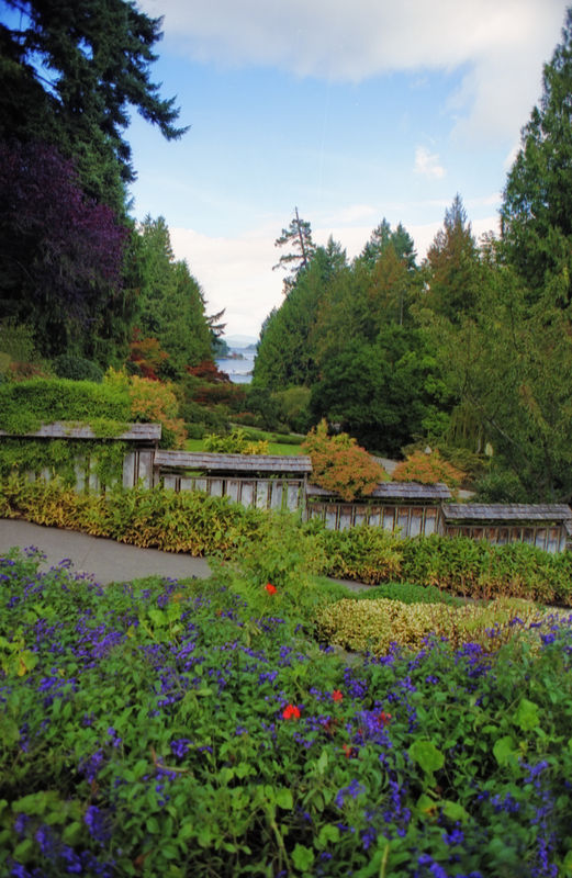 bouchard-gardens-anyone-been-to-bouchard-gardens-on-vancouver-island