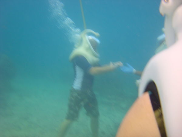 not clear, but that's sea trekking...