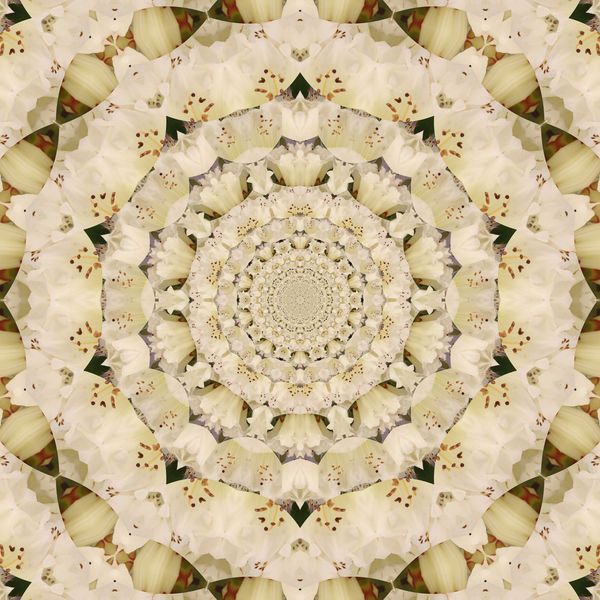 Kaleidoscope Photo Art...