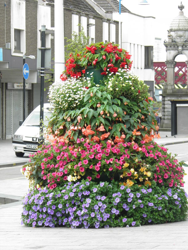 flowers on street uptown Scotland...