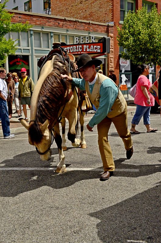 I'm not sure if the Sheriff has the hoarse trained...