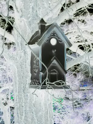 Haunted Bird House...