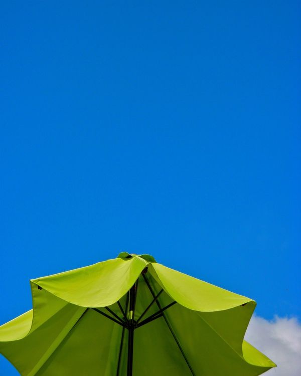 The Green Umbrella...