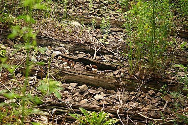 a bed of old railroad ties...