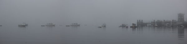 Foggy morning in Lincolnville ME...