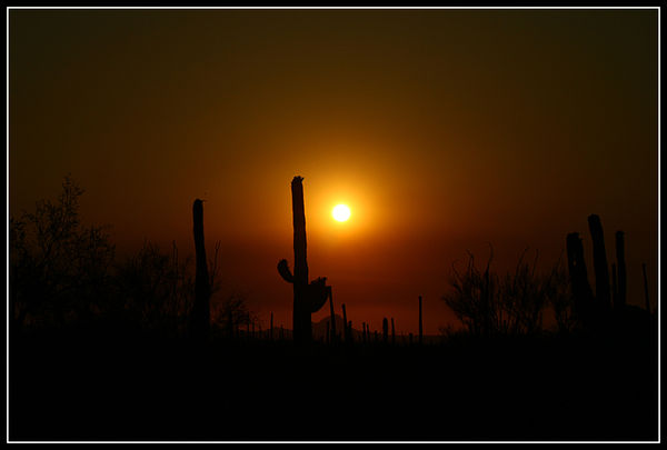 Southwest Sunset...